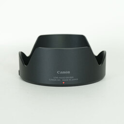 Canon RF24-105mm F4 L IS USM