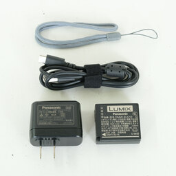 Panasonic LUMIX TZ99