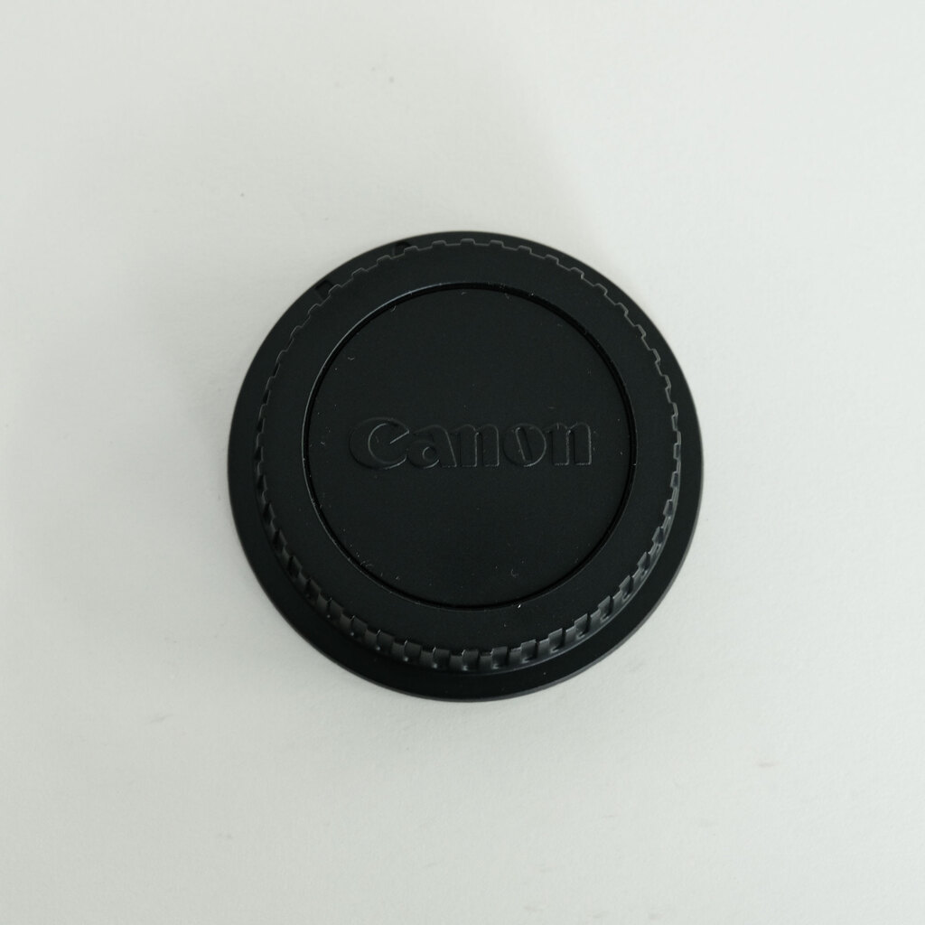 Canon EF24-105mm F4L IS II USM