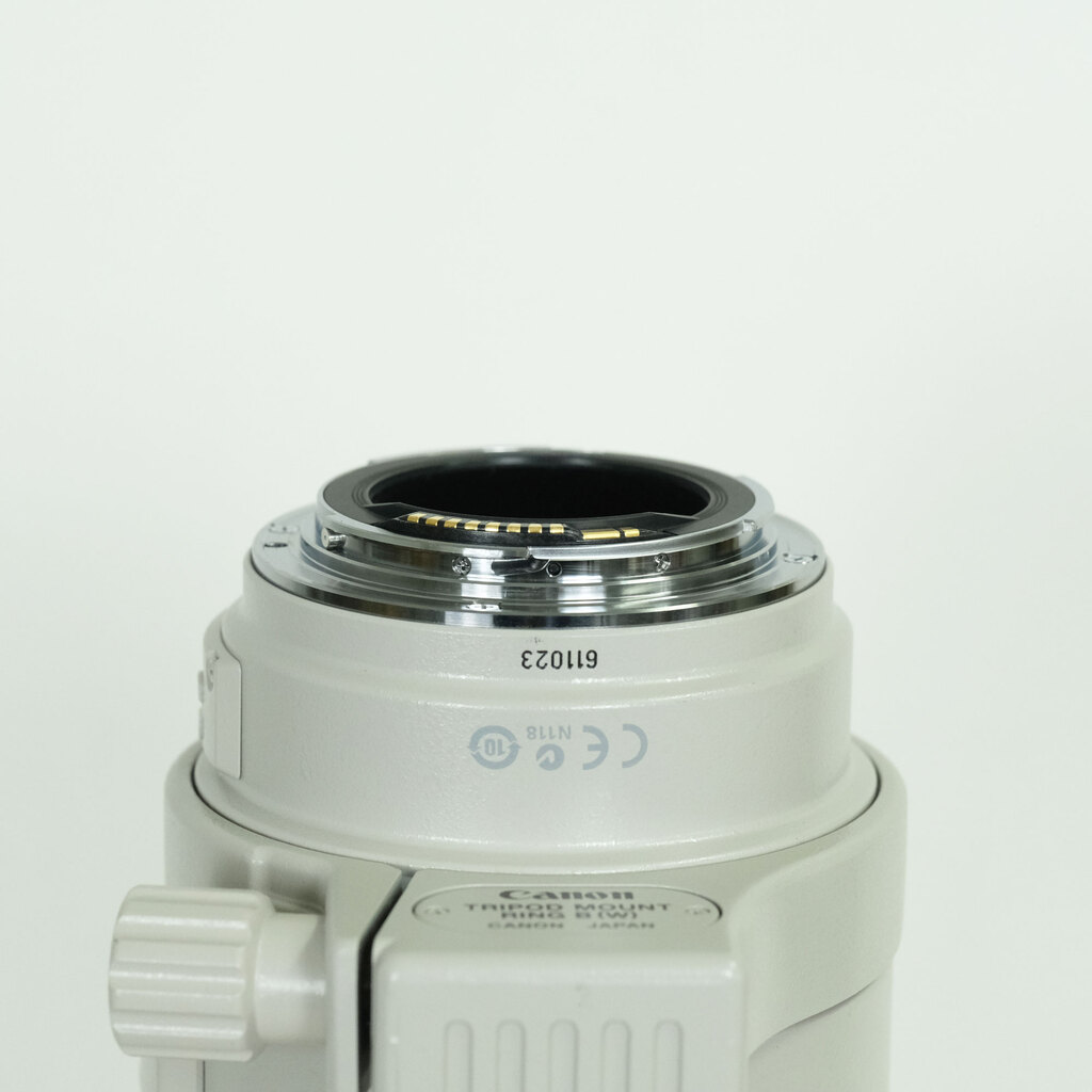 Canon EF100-400mm F4.5-5.6L IS USM
