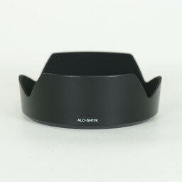 SONY FE 20-70mm F4 G SEL2070G