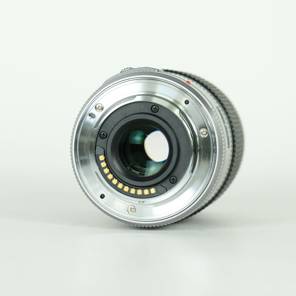 Panasonic LUMIX G X VARIO PZ 45-175mm / F4.0-5.6 ASPH. / POWER