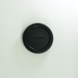 Panasonic LUMIX G VARIO 100-300mm / F4.0-5.6 II / POWER O.I.S. Panasonic LUMIX G VARIO 100-300mm / F4.0-5.6 II / POWER O.I.S.