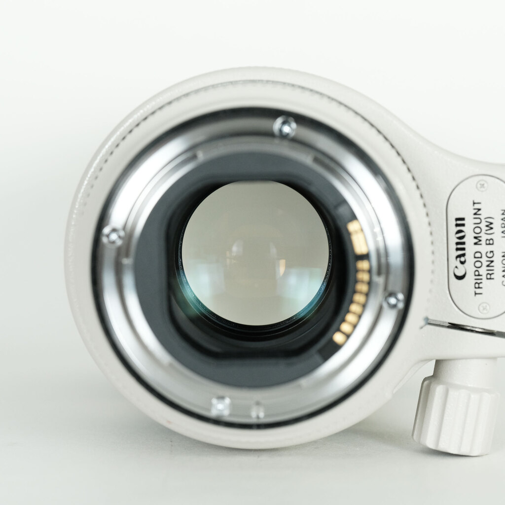 Canon EF70-200mm F2.8L IS II USM