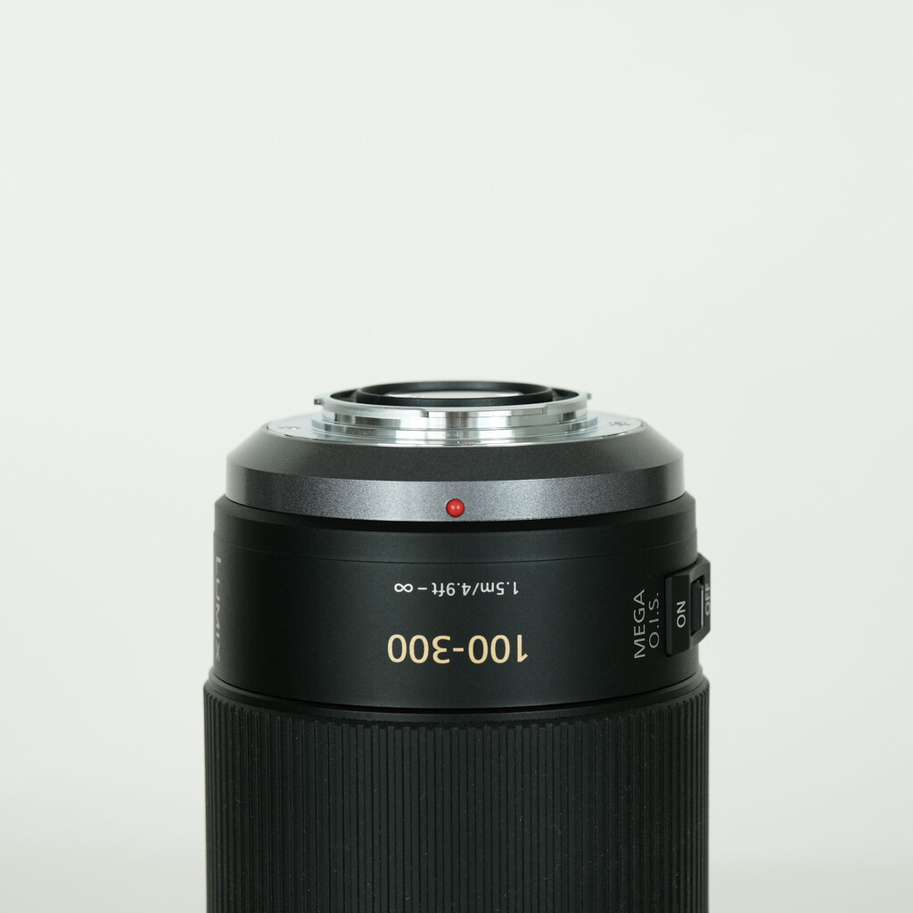 Panasonic LUMIX G VARIO 100-300mm / F4.0-5.6 / POWER O.I.S.
