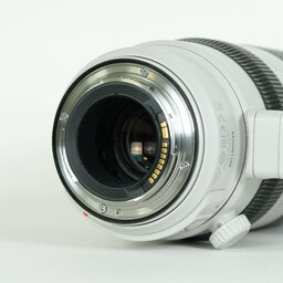 Canon EF100-400mm F4.5-5.6L IS II USM