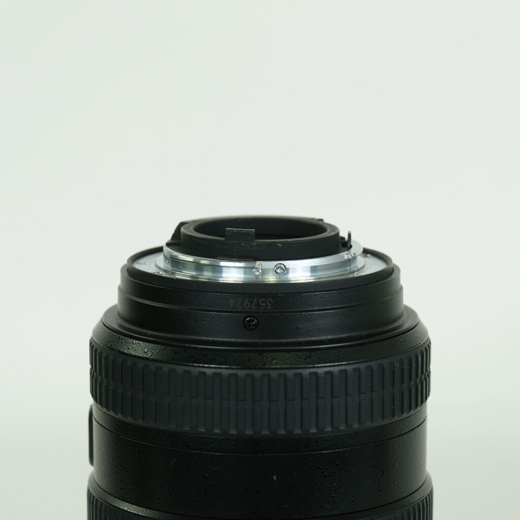 Nikon AF-S DX Zoom-Nikkor 17-55mm f/2.8G IF-ED