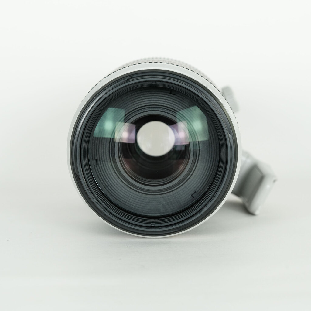 Canon EF100-400mm F4.5-5.6L IS II USM