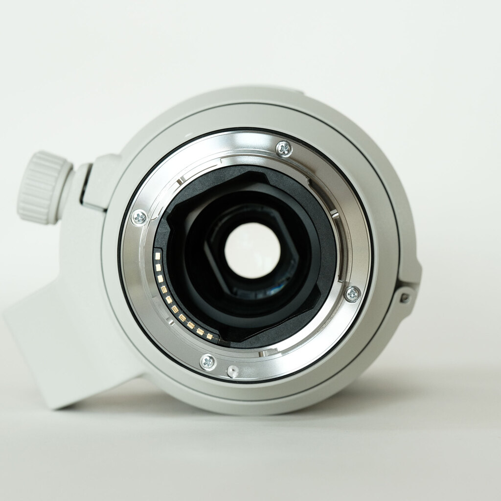 SONY FE70-200mm F4 Macro G OSS II SEL70200G2