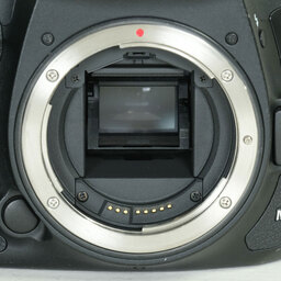 Canon EOS 7D Mark II