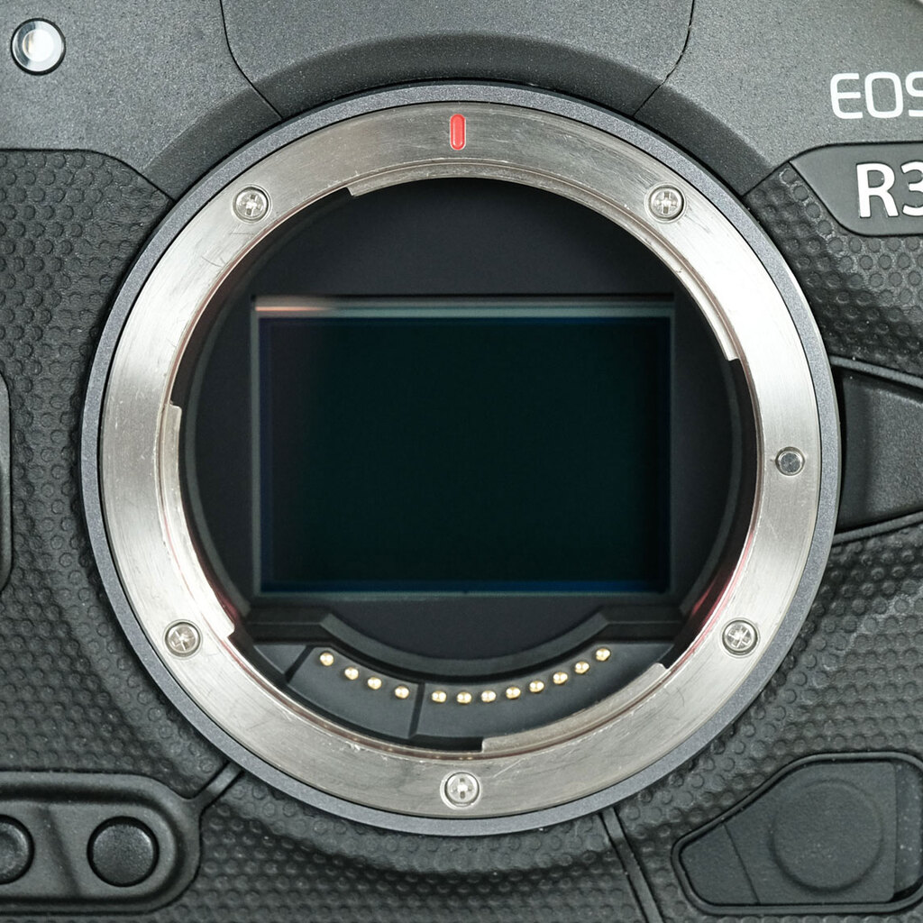Canon EOS R3