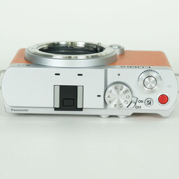 Panasonic LUMIX DC-S9