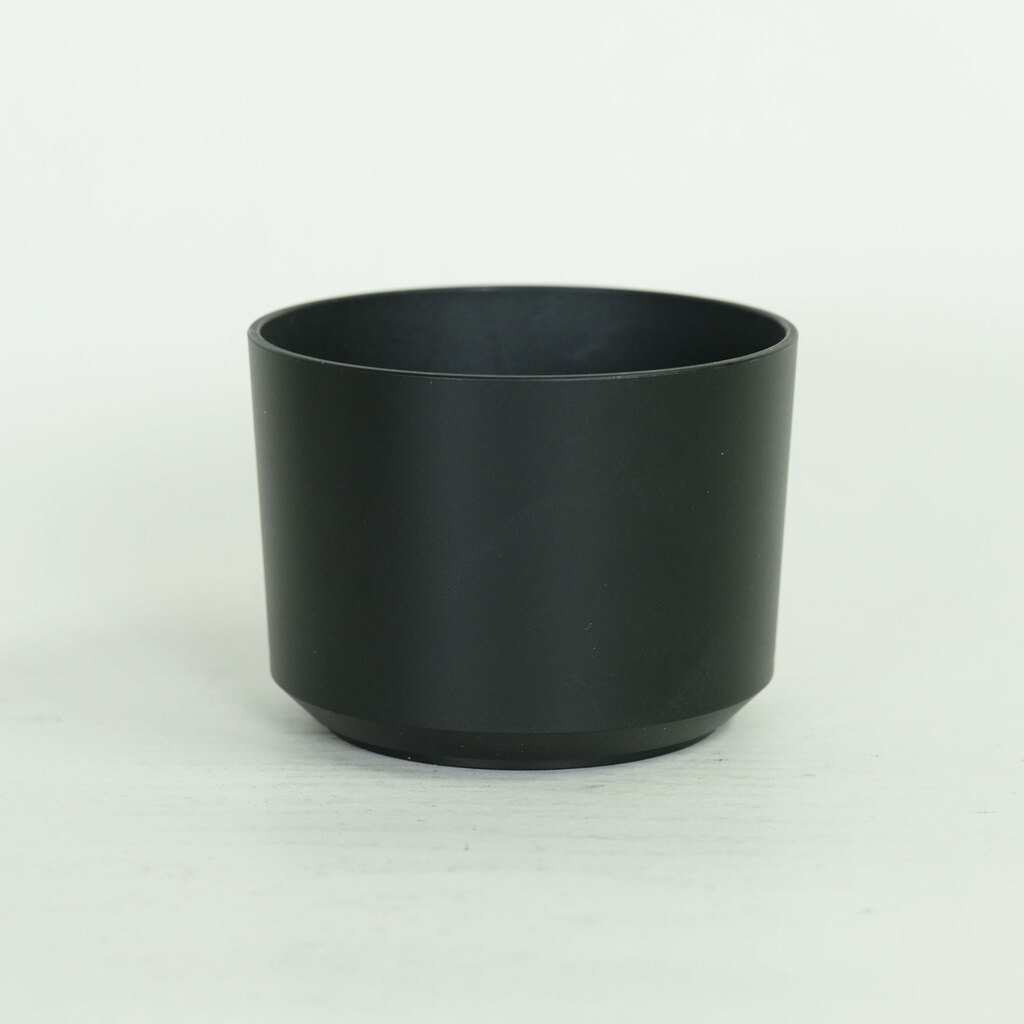 SONY E 55-210mm F4.5-6.3 OSS SEL55210