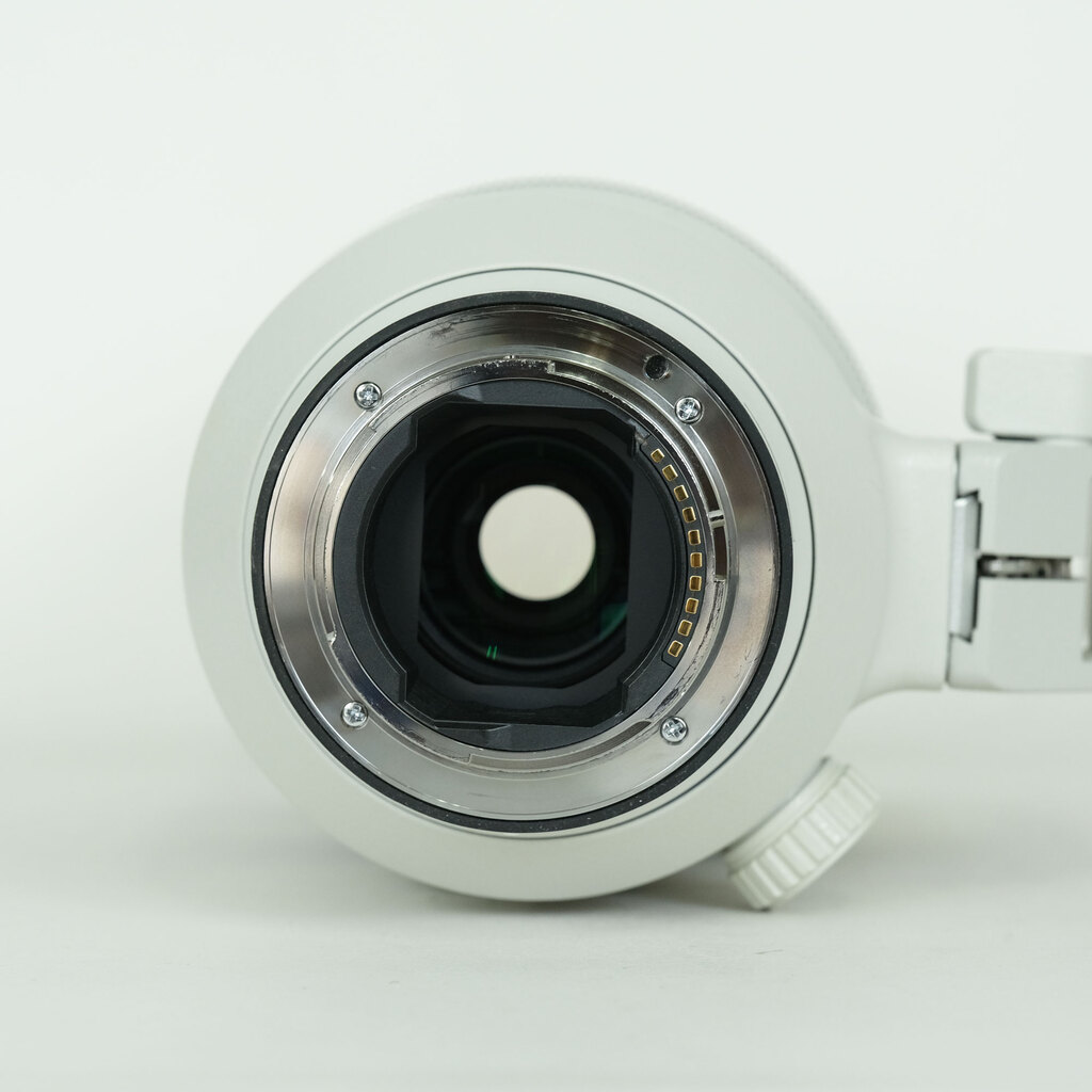 SONY FE 100-400mm F4.5-5.6 GM OSS SEL100400GM