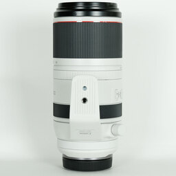 Canon RF100-500mm F4.5-7.1L IS USM