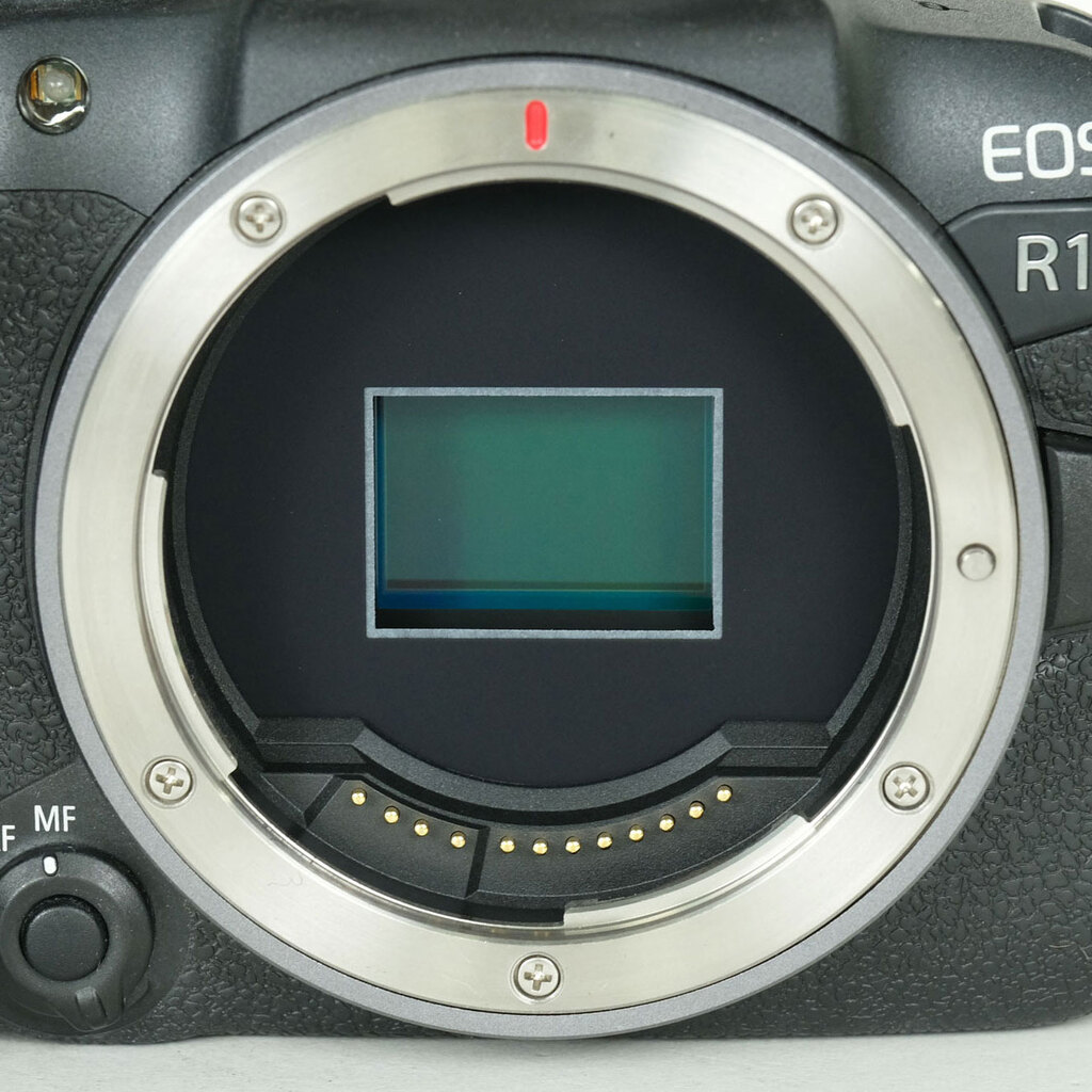Canon EOS R10 Canon EOS R10