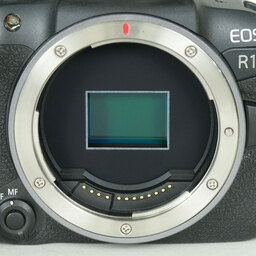 Canon EOS R10 Canon EOS R10