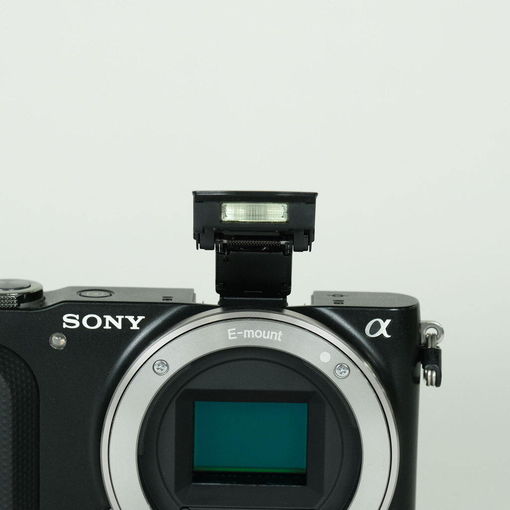 SONY α NEX-3N ボディ ブラックの出品 | ONE SCENE（ワンシーン）