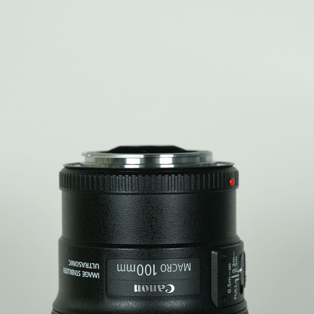 Canon EF100mm F2.8Lマクロ IS USMの出品 | ONE SCENE（ワンシーン）