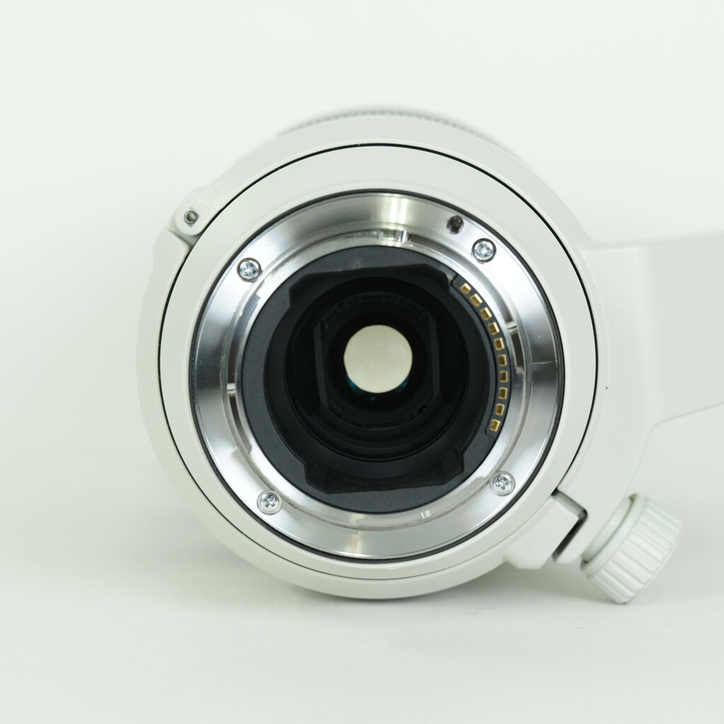 SONY FE70-200mm F4 Macro G OSS II SEL70200G2