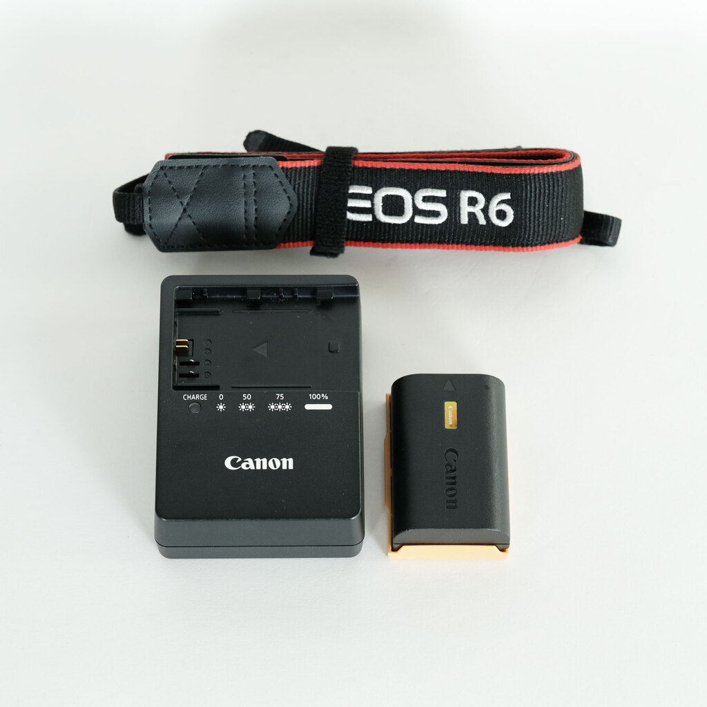 Canon EOS R6