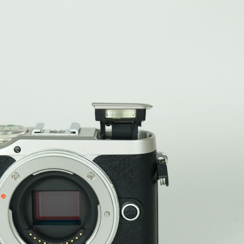 OLYMPUS PEN E-PL9の出品 | ONE SCENE（ワンシーン）