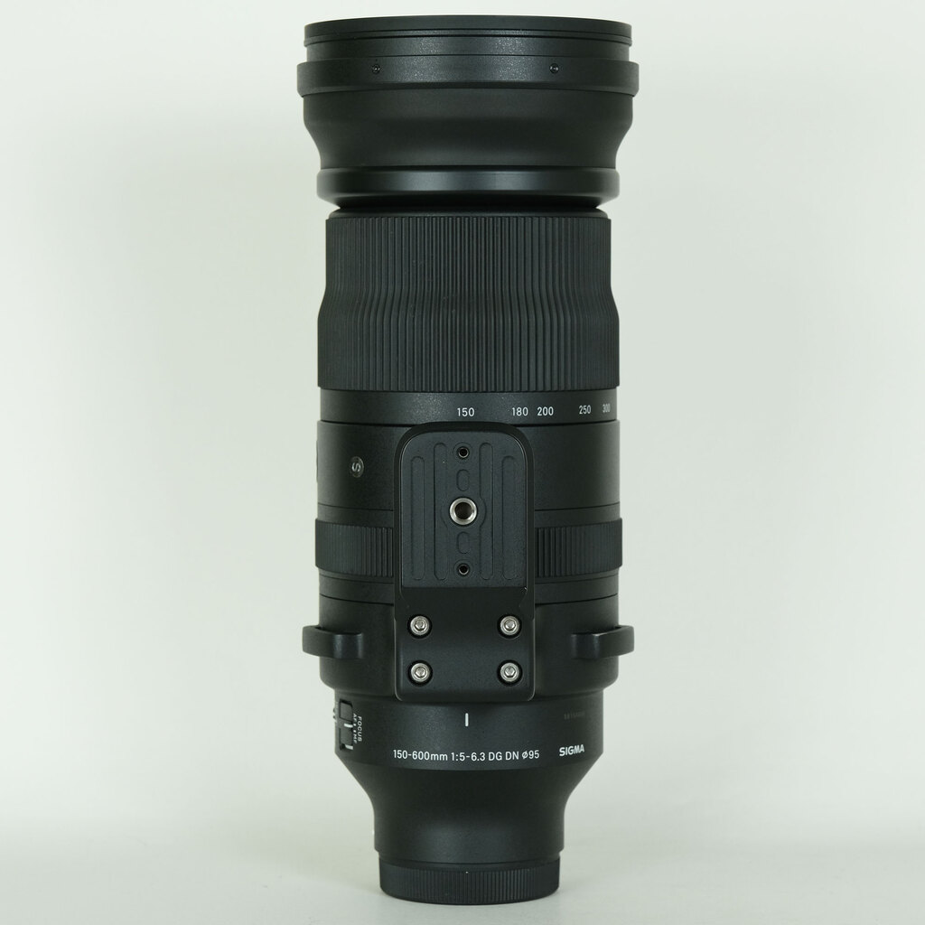 SIGMA 150-600mm F5-6.3 DG DN OS｜Sports [ソニーE用]
