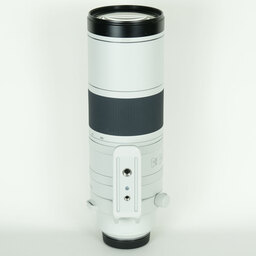 Canon RF200-800mm F6.3-9 IS USM Canon RF200-800mm F6.3-9 IS USM