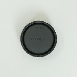 SONY FE 24-105mm F4 G OSS SEL24105G