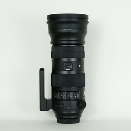 SIGMA 150-600mm F5-6.3 DG OS HSM | Sports [キヤノン用]