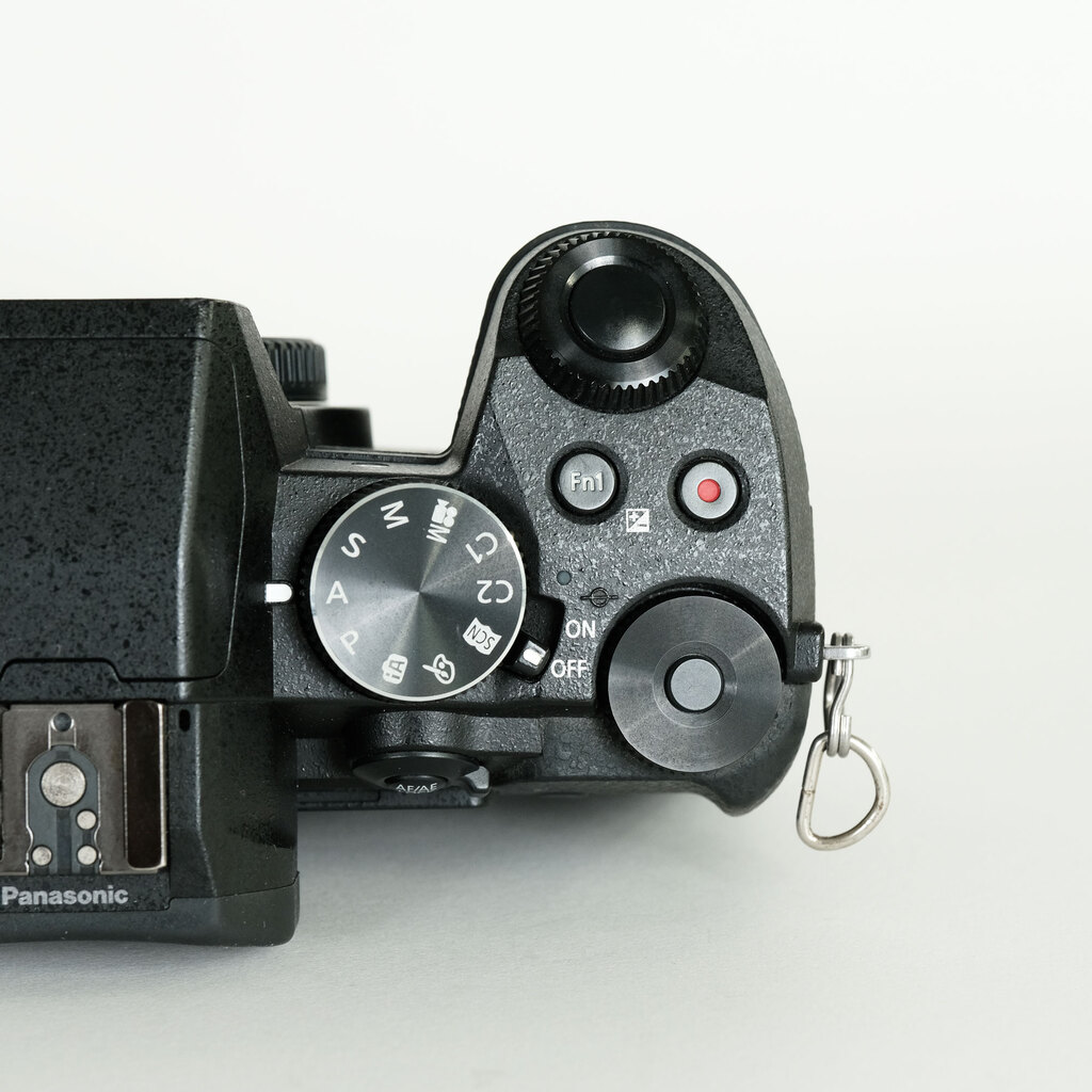 Panasonic LUMIX DMC-G8