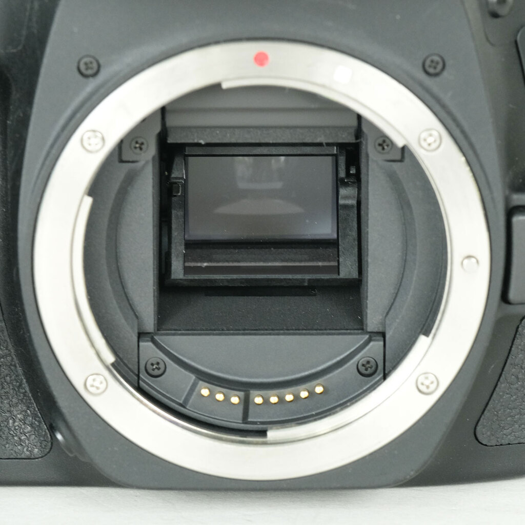 Canon EOS 90Dの出品 | ONE SCENE（ワンシーン）