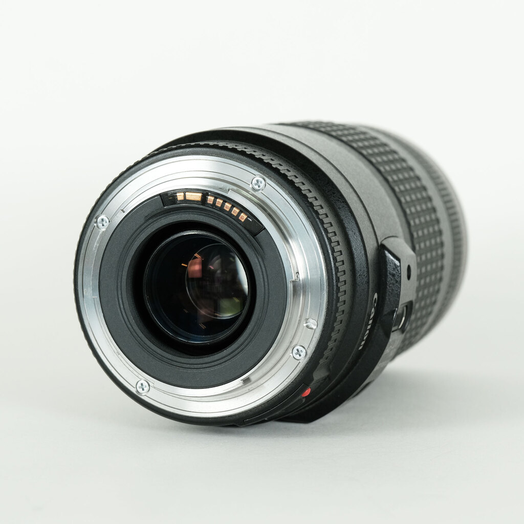 Canon EF70-300mm F4-5.6 IS USM