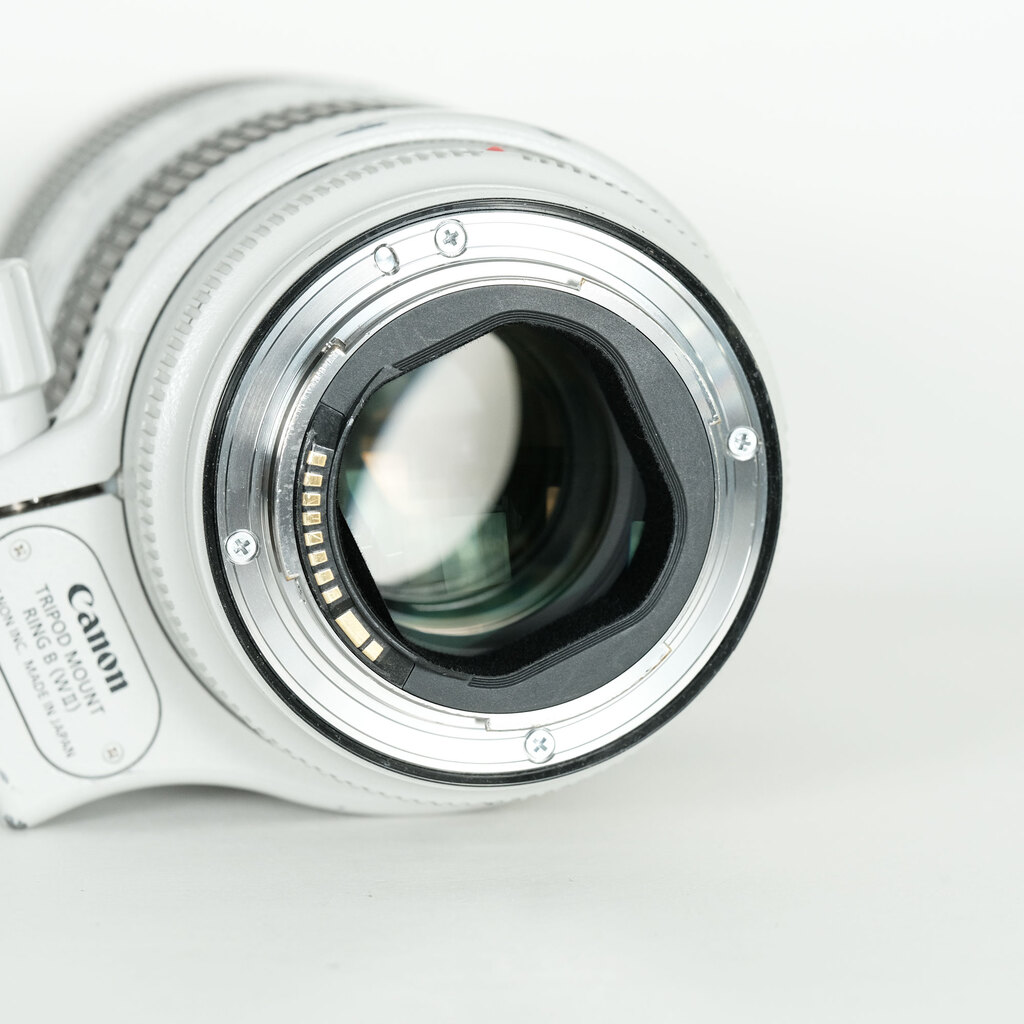 Canon EF70-200mm F2.8L IS III USM