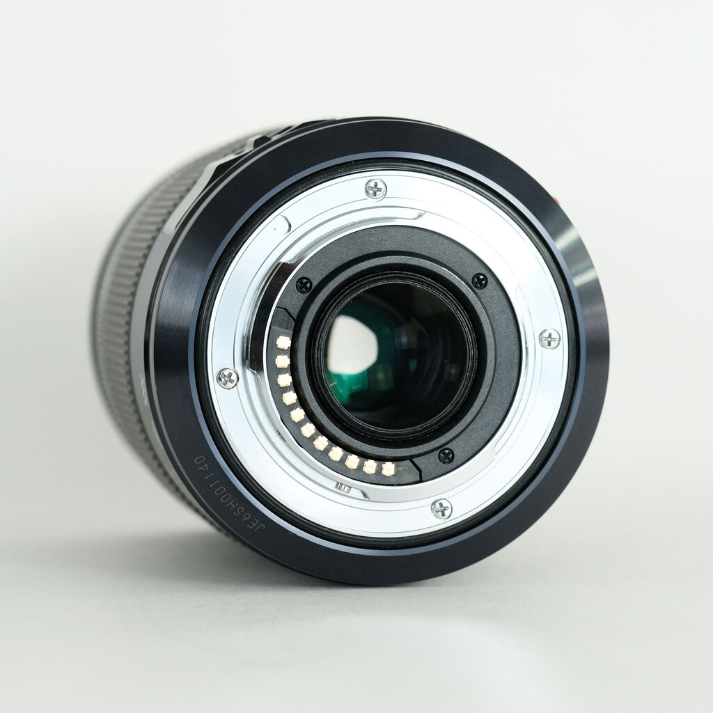 Panasonic LUMIX G X VARIO 35-100mm F2.8 POWER O.I.S. H-HS35100