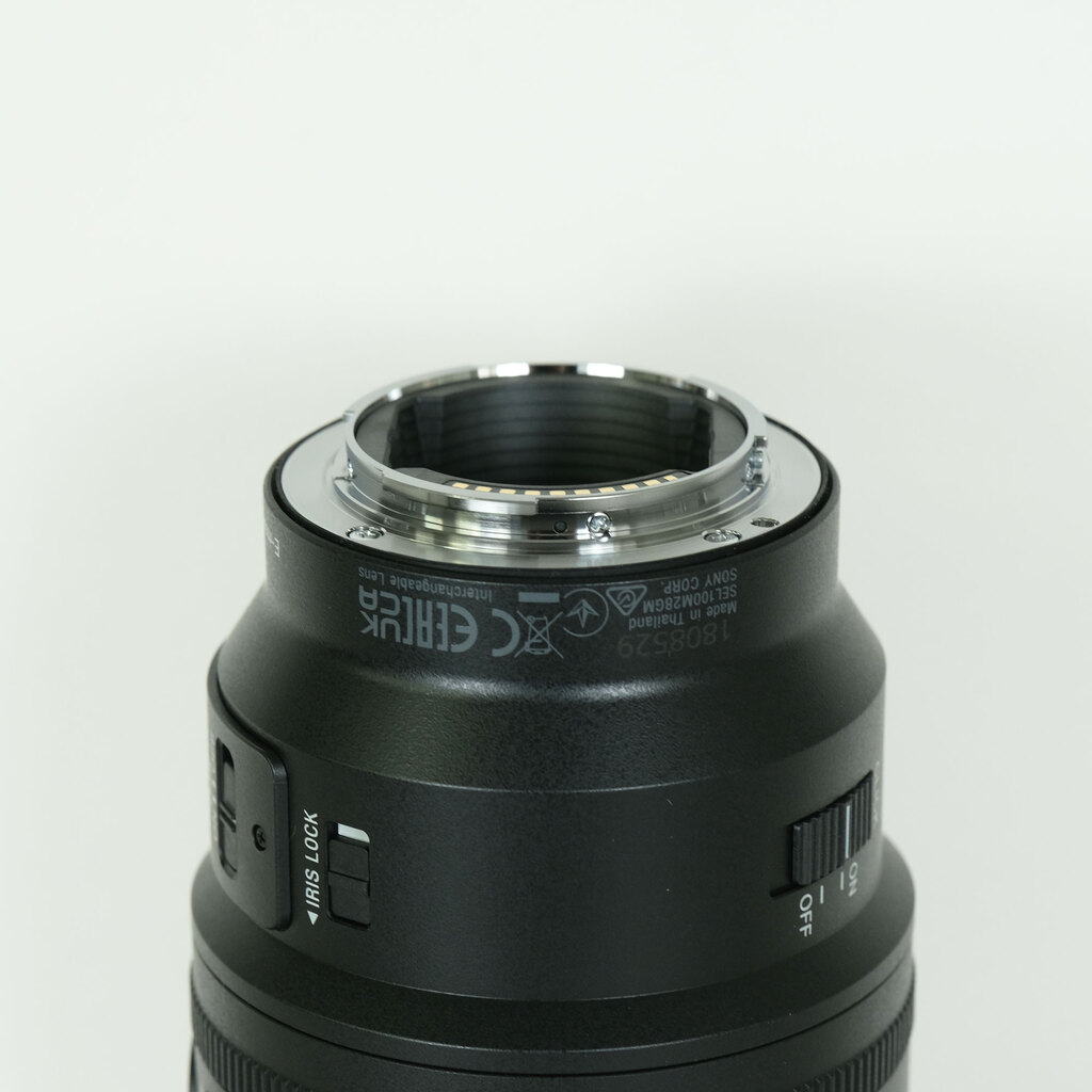 SONY FE 100mm F2.8 Macro GM OSS SEL100M28GM
