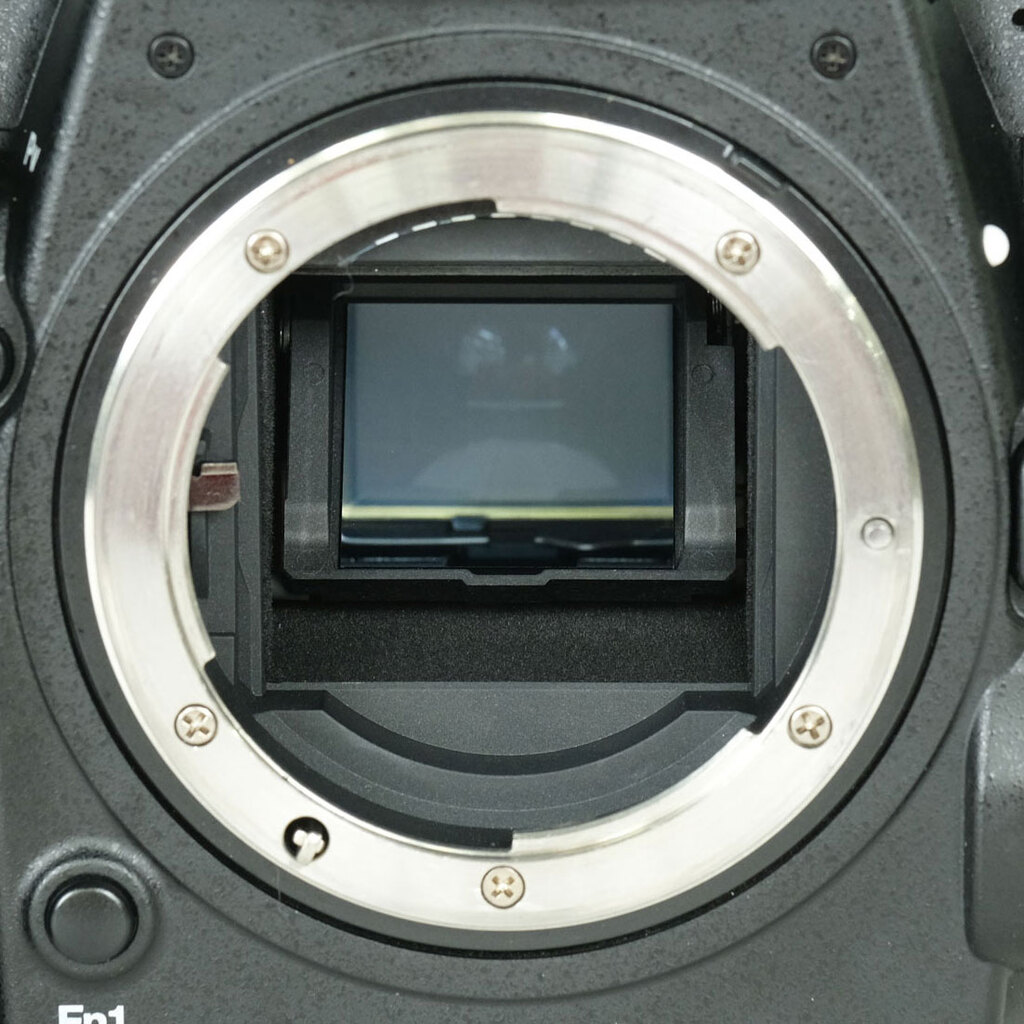 Nikon D500の出品 | ONE SCENE（ワンシーン）
