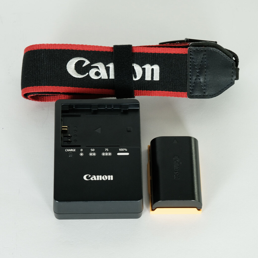 Canon EOS 5D MarkII ボディ