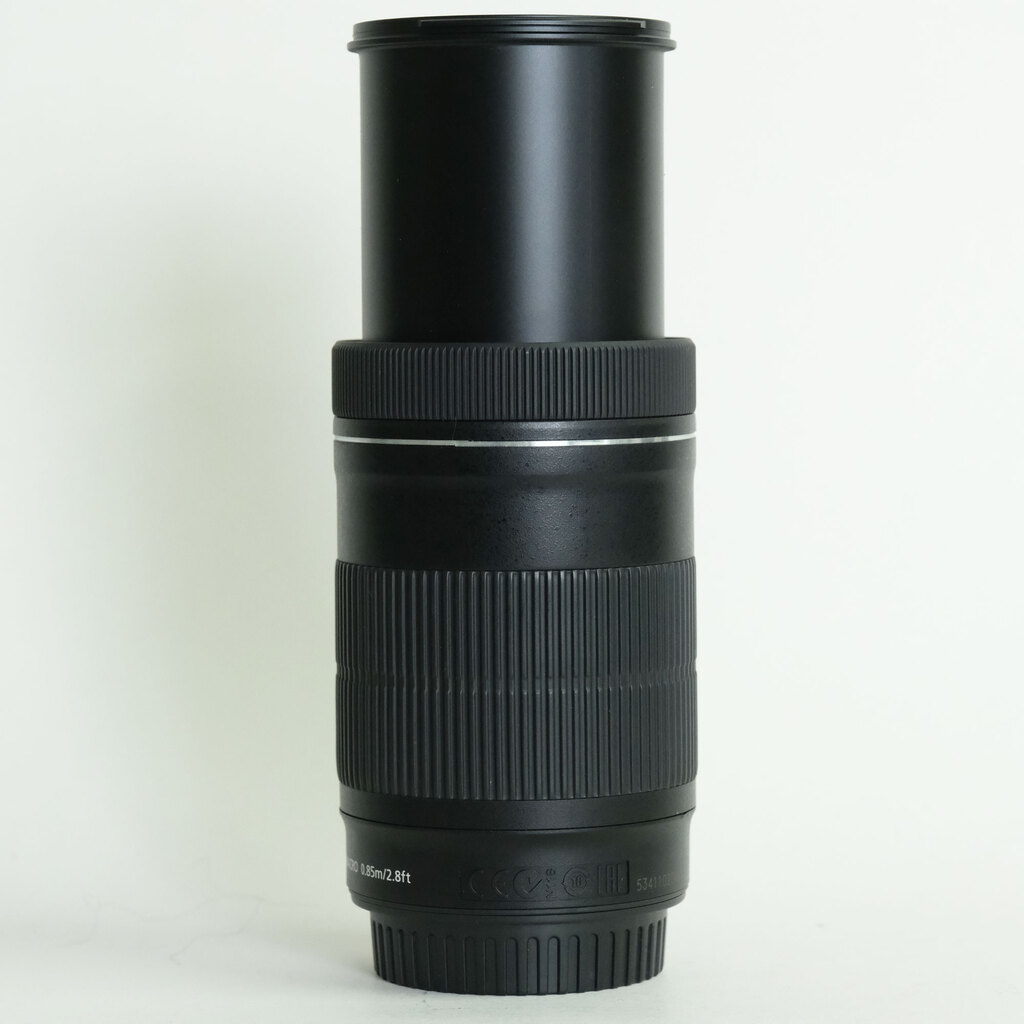 Canon EF-S55-250mm F4-5.6 IS STM
