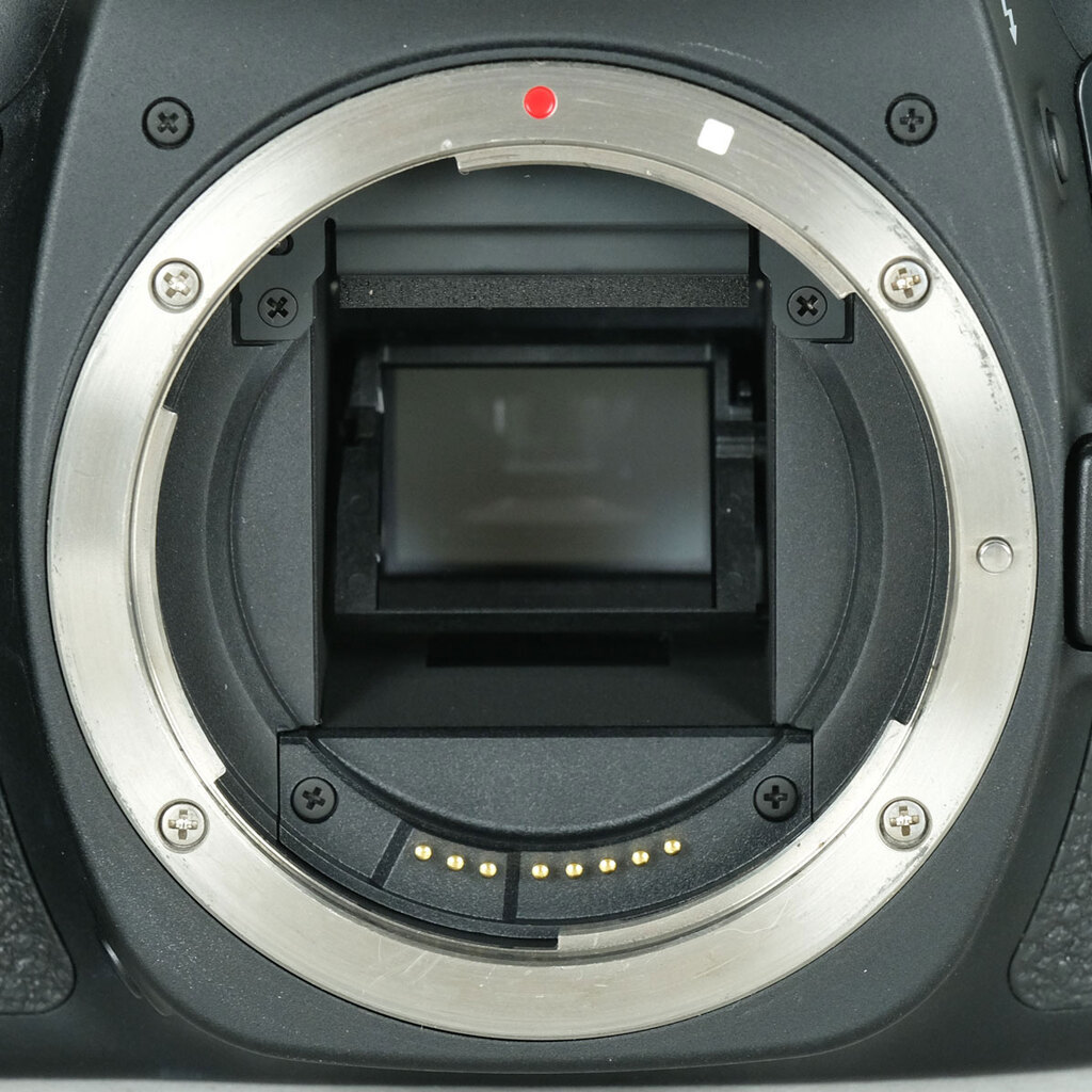 Canon EOS 80Dの出品 | ONE SCENE（ワンシーン）