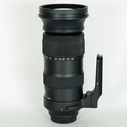 SIGMA 60-600mm F4.5-6.3 DG OS HSM | Sports [キヤノン用]