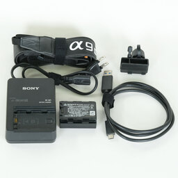 SONY α9 II（ILCE-9M2）