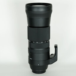 SIGMA 150-600mm F5-6.3 DG OS HSM | Contemporary [キヤノンEF用]