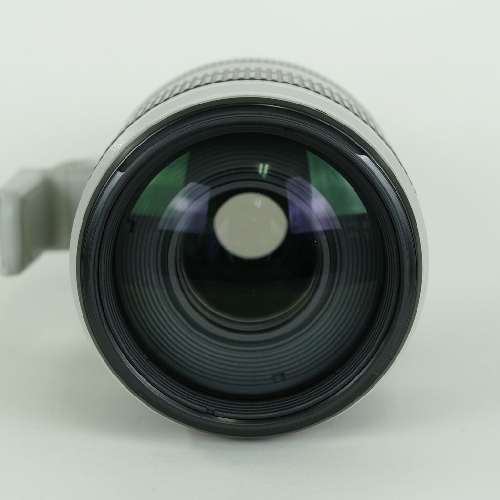 Canon EF100-400mm F4.5-5.6L IS II USM