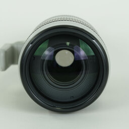 Canon EF100-400mm F4.5-5.6L IS II USM