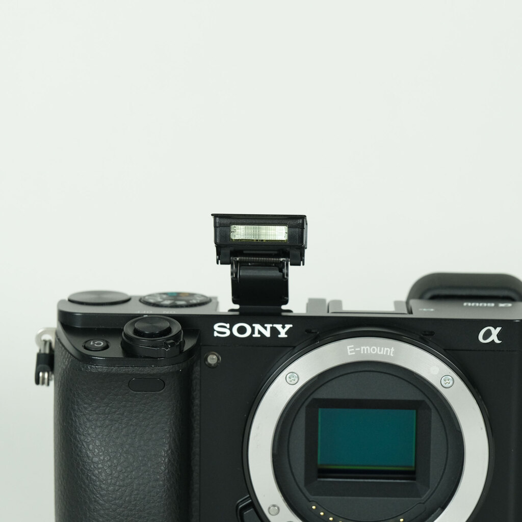 SONY α6000（ILCE-6000）の出品 | ONE SCENE（ワンシーン）