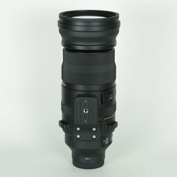 SIGMA 150-600mm F5-6.3 DG DN OS｜Sports [ソニーE用]
