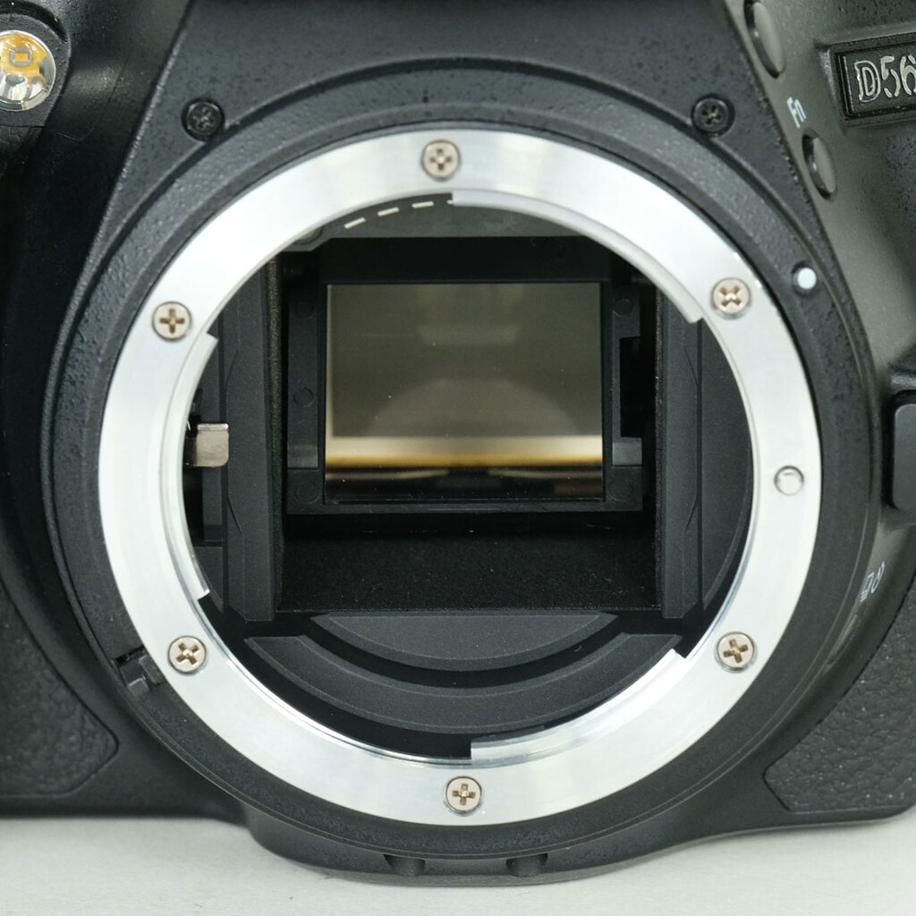 Nikon D5600