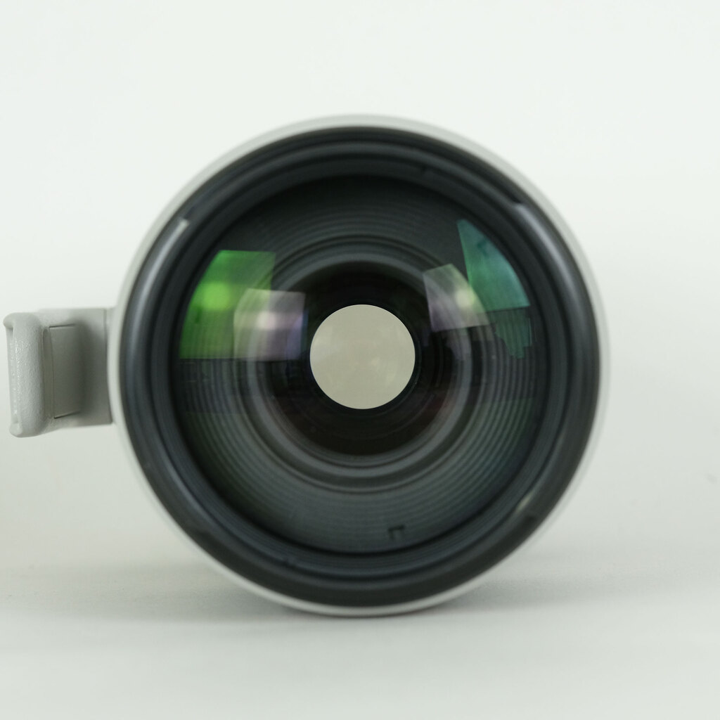 Canon EF100-400mm F4.5-5.6L IS II USM