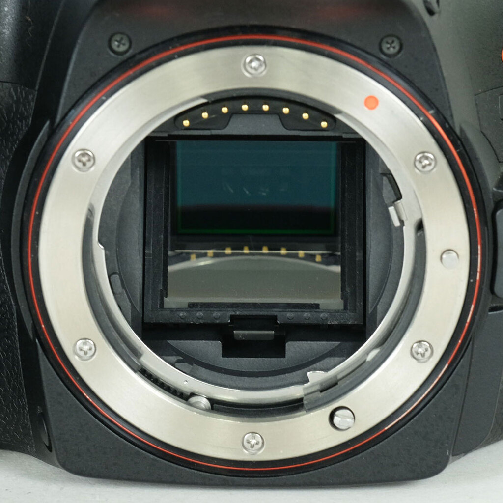 SONY α65の出品 | ONE SCENE（ワンシーン）